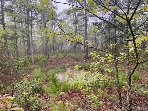 740 Fox Hollow Rd, Fox, AR 72051 photo 19