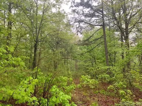 740 Fox Hollow Rd, Fox, AR 72051 photo 16
