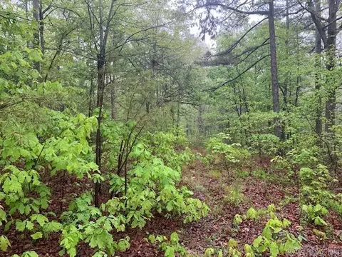 740 Fox Hollow Rd, Fox, AR 72051 photo 14