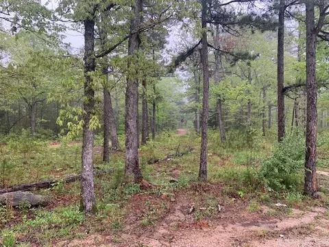 740 Fox Hollow Rd, Fox, AR 72051 photo 7