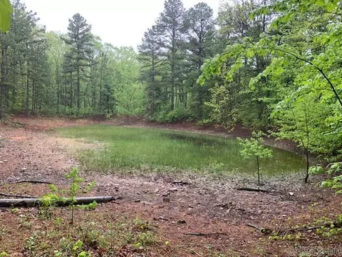 740 Fox Hollow Rd, Fox, AR 72051 photo 2