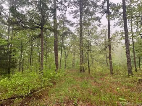 740 Fox Hollow Rd, Fox, AR 72051 photo 13