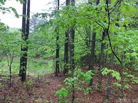 740 Fox Hollow Rd, Fox, AR 72051 photo 5