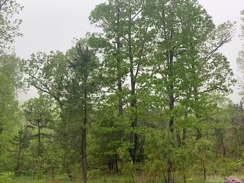 740 Fox Hollow Rd, Fox, AR 72051 photo 8