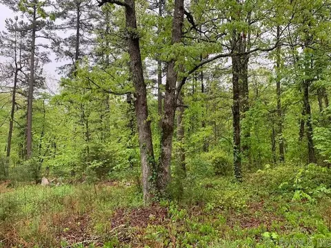 740 Fox Hollow Rd, Fox, AR 72051 photo 20