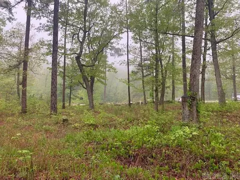 740 Fox Hollow Rd, Fox, AR 72051 photo 12