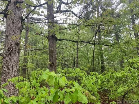740 Fox Hollow Rd, Fox, AR 72051 photo 15