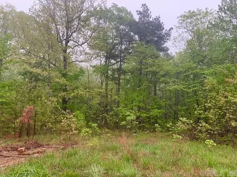 740 Fox Hollow Rd, Fox, AR 72051 photo 18