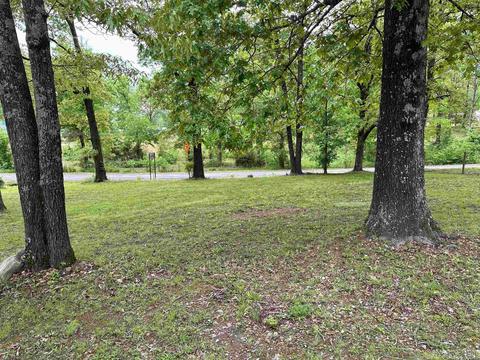 218 Ruddle Rd, Mountain View, AR 72560 photo 4