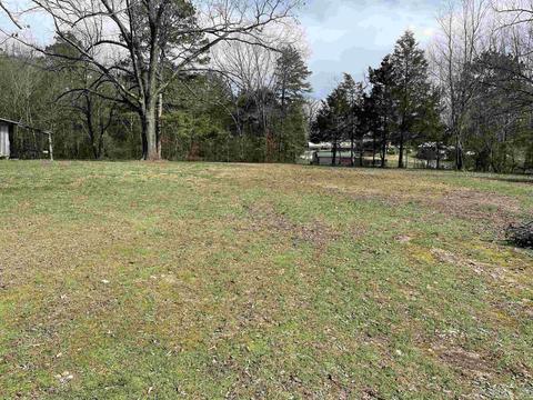 218 Ruddle Rd, Mountain View, AR 72560 photo 15