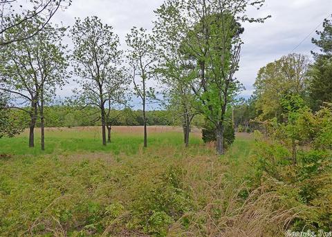 274 Wolf Hound Rd, Glencoe, AR 72539 photo 16