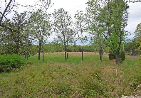 274 Wolf Hound Rd, Glencoe, AR 72539 photo 15