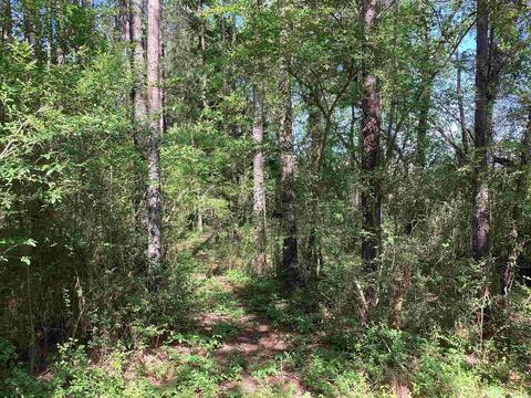 130 S Davis St, Hatfield, AR 71945 photo 10