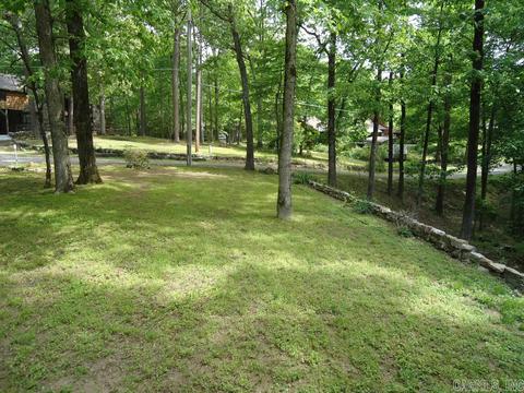 57 Hummingbird Ln, Mount Ida, AR 71957 photo 7
