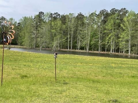 8401 Whiteville Rd, Pine Bluff, AR 71603 photo 16