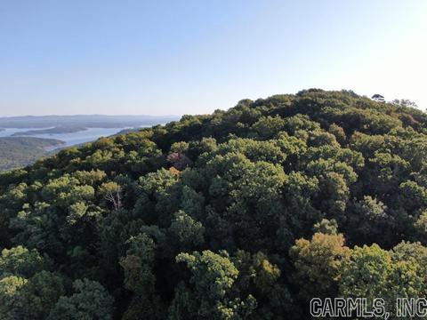 10 Lakeview Ter, Mount Ida, AR 71957 photo 10