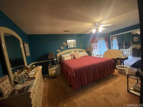 1080 E River Dr, Strawberry, AR 72469 photo 20