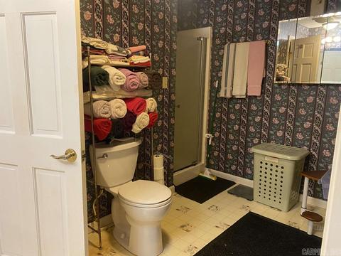 1080 E River Dr, Strawberry, AR 72469 photo 41