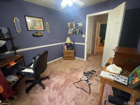 1080 E River Dr, Strawberry, AR 72469 photo 28