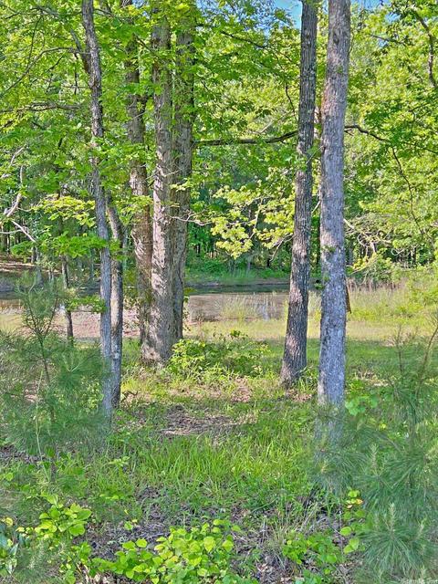 9927 Princeton Pike, Pine Bluff, AR 71602 photo 23