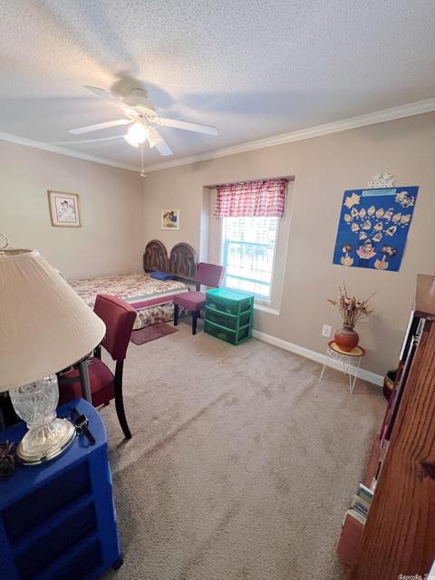 9927 Princeton Pike, Pine Bluff, AR 71602 photo 17