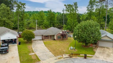 13840 Hickory Gln, Alexander, AR 72002 photo 2