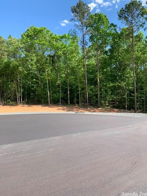 248 Clear View Rd, Benton, AR 72019 photo 6