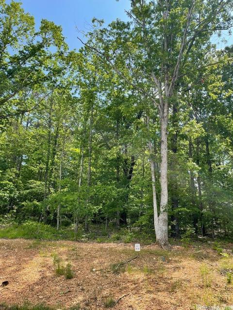 248 Clear View Rd, Benton, AR 72019 photo 4