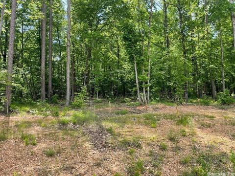 248 Clear View Rd, Benton, AR 72019 photo 3