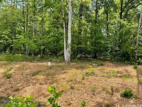 248 Clear View Rd, Benton, AR 72019 photo 1