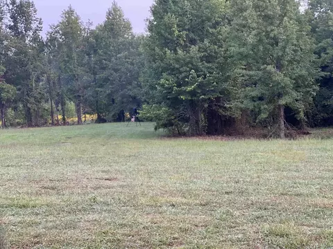 2344 Ed Haymes, Austin, AR 72007 photo 6