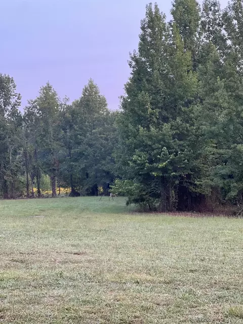 2344 Ed Haymes, Austin, AR 72007 photo 3