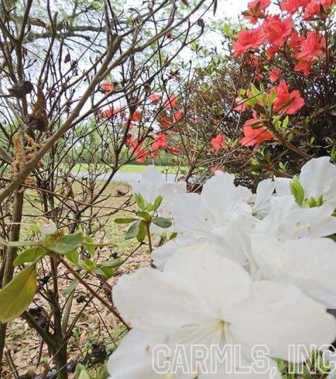 220 W Cherry St, Delight, AR 71940 photo 4