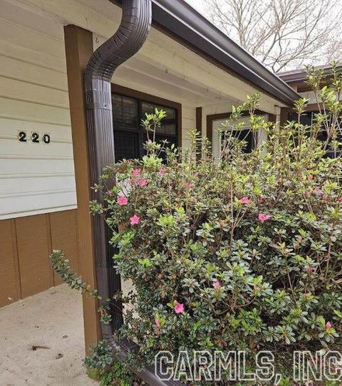 220 W Cherry St, Delight, AR 71940 photo 32