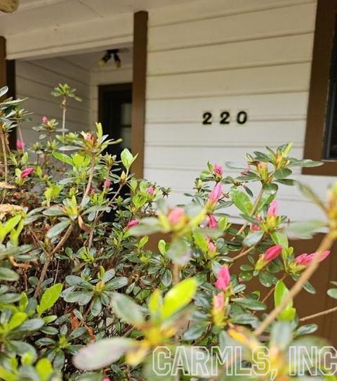 220 W Cherry St, Delight, AR 71940 photo 35