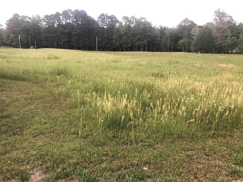 1844 Landers Rd, Malvern, AR 72104 photo 5
