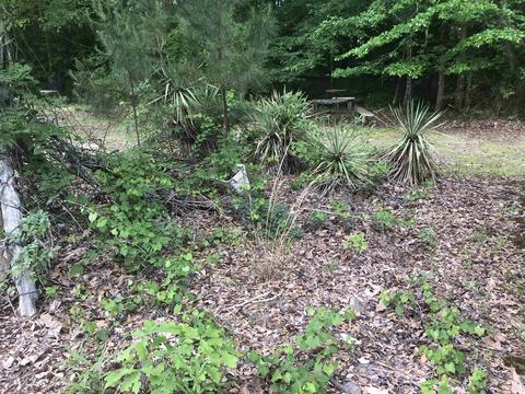 1844 Landers Rd, Malvern, AR 72104 photo 26