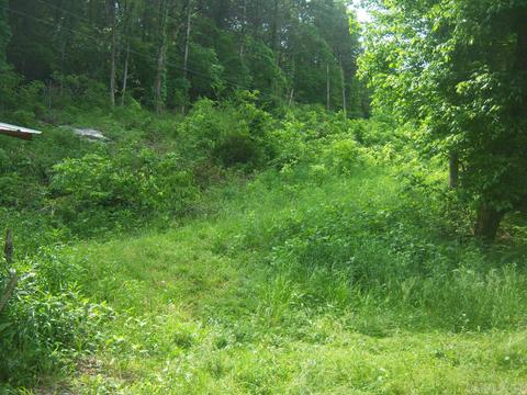 236 Double Bridge Loop, Mountain View, AR 72560 photo 3