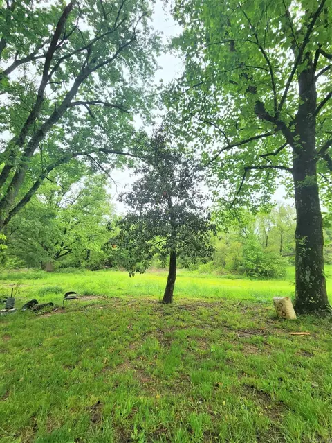688 Polk Road 18, Vandervoort, AR 71972 photo 43