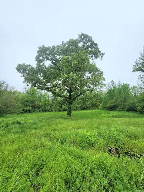 688 Polk Road 18, Vandervoort, AR 71972 photo 47
