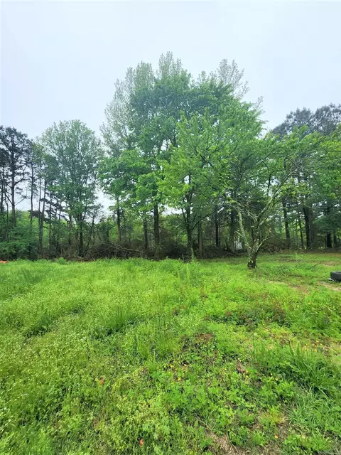 688 Polk Road 18, Vandervoort, AR 71972 photo 45