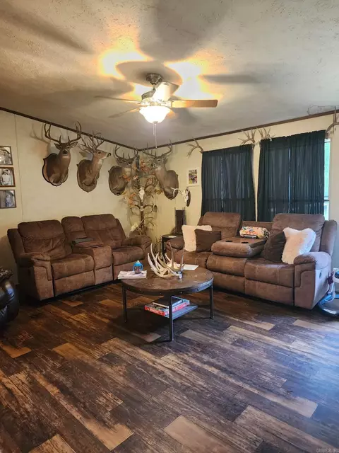 688 Polk Road 18, Vandervoort, AR 71972 photo 5