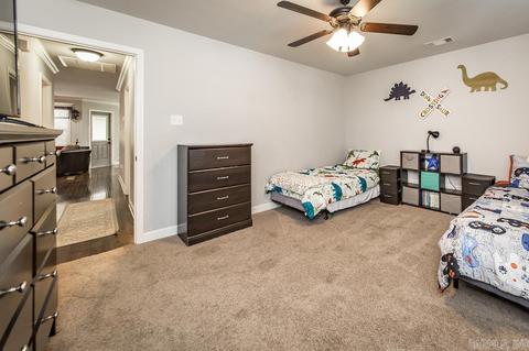 25 Sierra Dr, Austin, AR 72007 photo 31