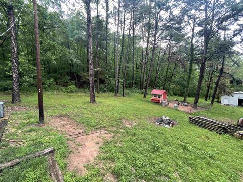 404 Renfro Dr, Dover, AR 72837 photo 10