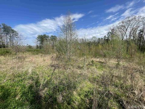 25 W Travis Ln, Mount Ida, AR 71957 photo 9