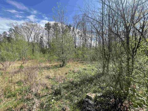 25 W Travis Ln, Mount Ida, AR 71957 photo 8