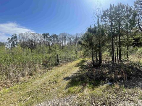 25 W Travis Ln, Mount Ida, AR 71957 photo 1