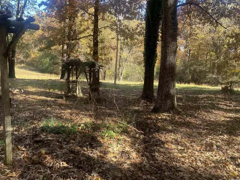 95 County Road 353, Thayer, MO 65791 photo 6