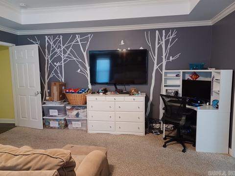 178 Hibiscus, Maumelle, AR 72113 photo 8