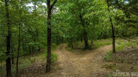 2730 Collins Dr, Conway, AR 72034 photo 48